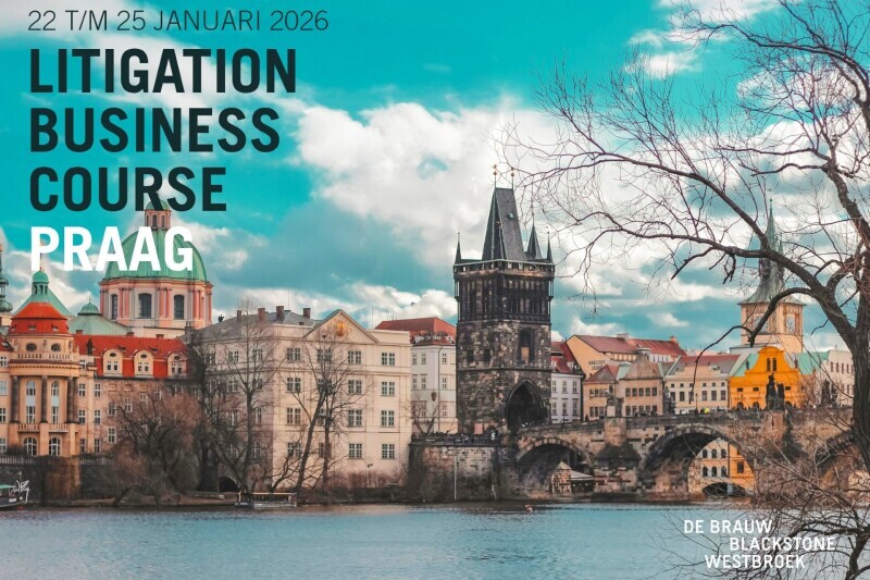 De Brauw Business Course Praag