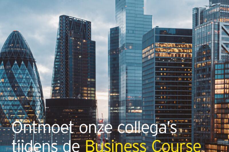  EY Tax & HVG Law Business Course